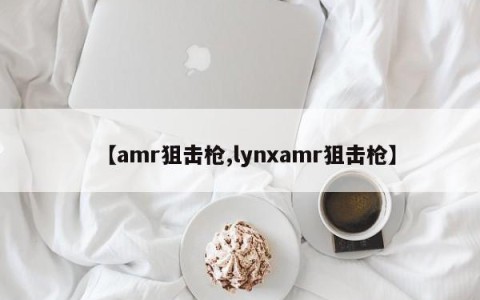 【amr狙击枪,lynxamr狙击枪】